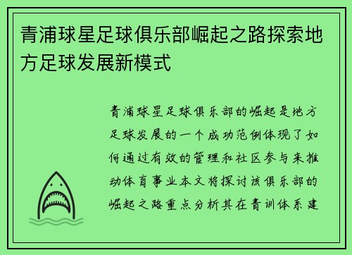 青浦球星足球俱乐部崛起之路探索地方足球发展新模式